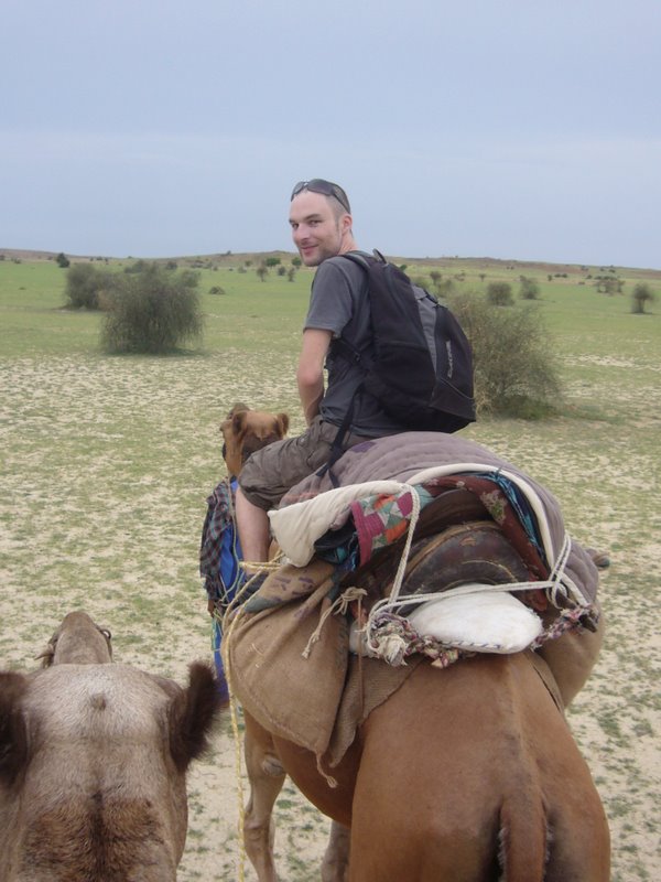 Travel - India - Rajasthan - Desert Camel Trip - Camel Safari